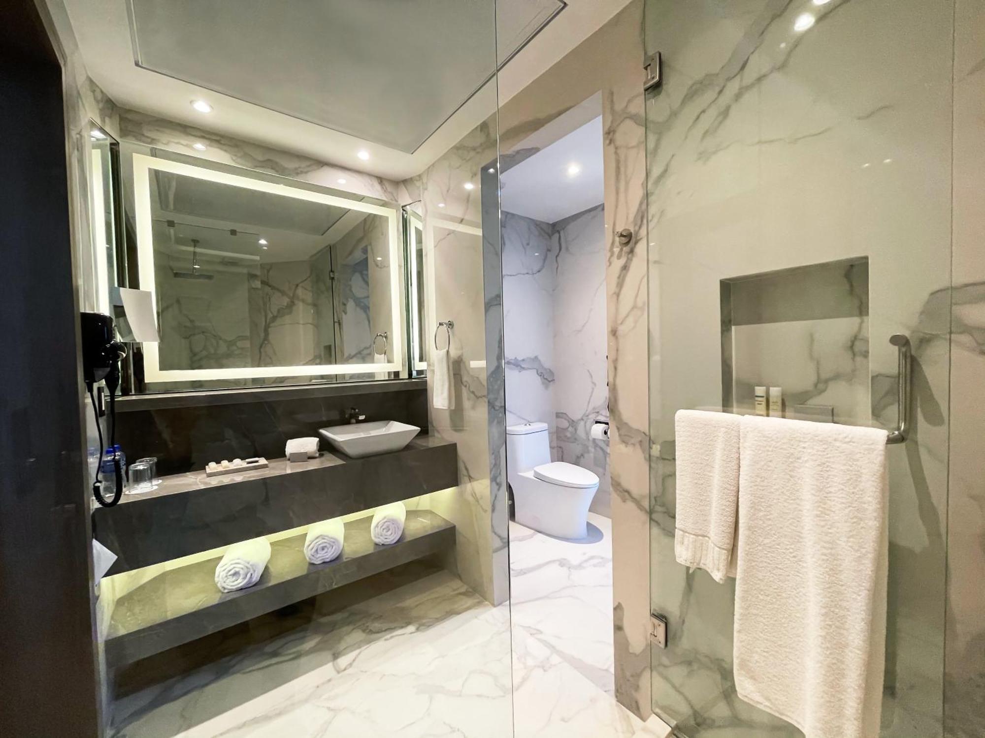 מלון San Pedro Garza Garcia Safi Royal Luxury Metropolitan מראה חיצוני תמונה